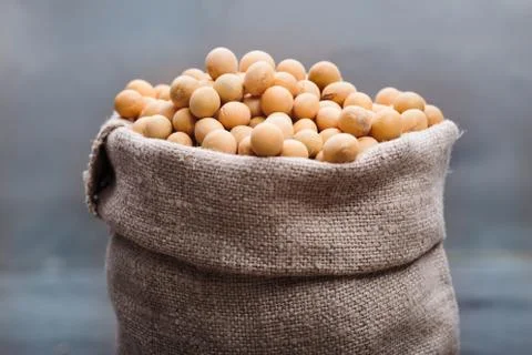 Soy beans in a sack Stock Photos