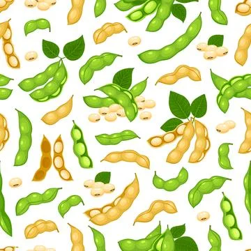 Soy beans seamless pattern, soybean pod background Illustrazione stock