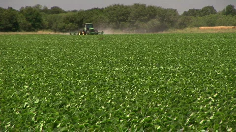 Soy beans tractor Stock Footage