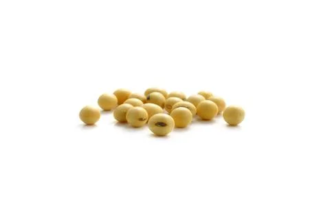 Soy beans on white background. Stock Photos