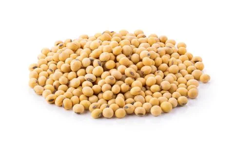 Soy beans on white background Stock Photos