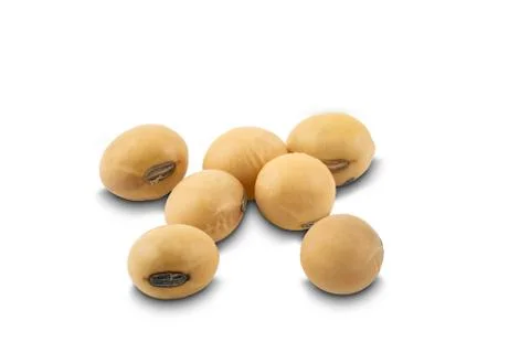 Soy beans on white background. Foto stock