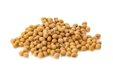 Soy beans on white background Stock Photos