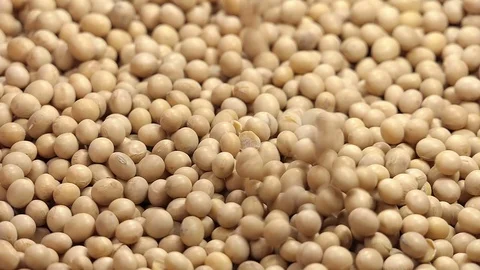 Soy falling from top in slow motion 96 fps Stock Footage 112202375