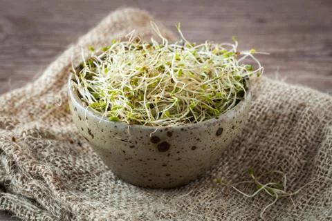 Soy germs Stockfoto's