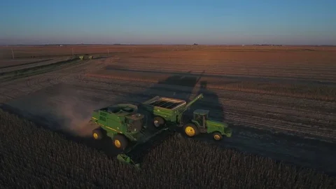 Soy Harvest 1 Stock Footage 84179208