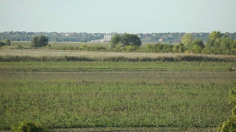 Soy harvesting - harvester working in fields Stock Footage 35843602