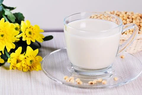 Soy milk with soy beans Stock Photos
