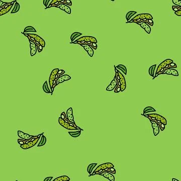 Soy plant leaf vector seamless pattern イラスト素材
