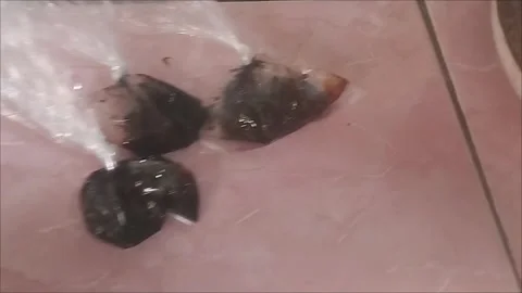 Soy sauce is put in a small plastic bag Stock Footage 291210397