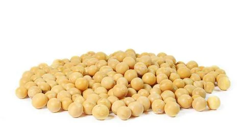 Soy seeds Stock Photos