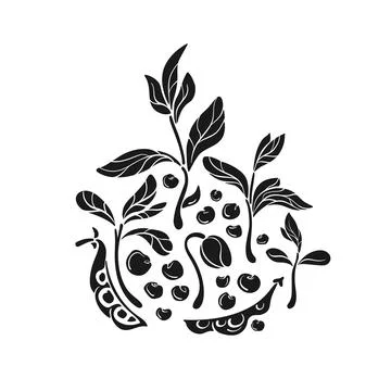 Soy set. Vector plant, grain, bean, sprout. Vegan Stock Illustration