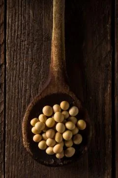 Soy on Spoon Stock Photos