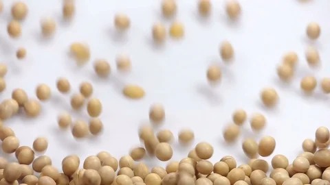Soy on white background falling from top and filling up frame Stock Footage 112185826