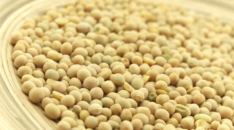 Soya bean 1 Vídeos de archivo 23333962