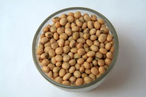 Soya Bean Grains Stock Photos