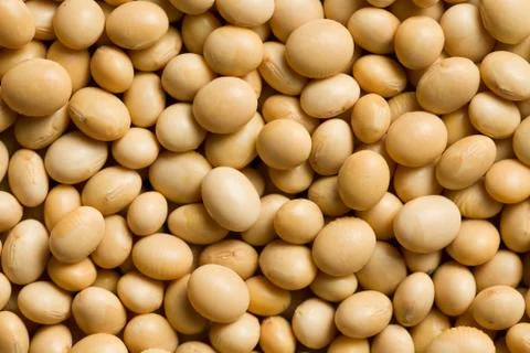 Soya beans background Stock Photos