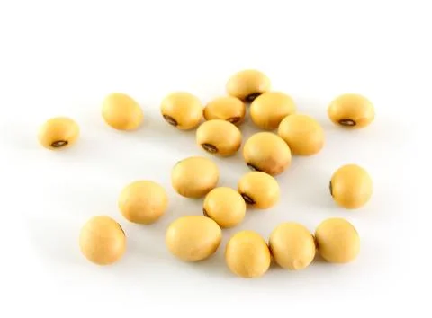 The soya beans Stock Photos