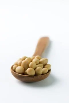 Soya beans Stock Photos