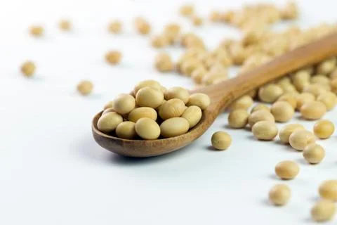 Soya beans Stock Photos