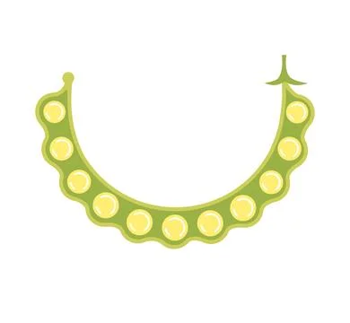 Soya pod open full with beans. Flat vector isolated. Stock Illustration