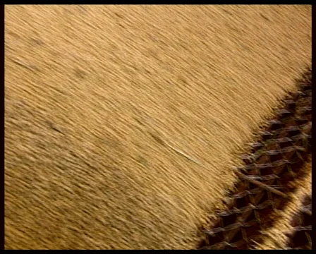 Soya in the Silo Stock Footage 719456