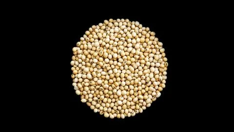 Soybean on a black background. Stock Photos