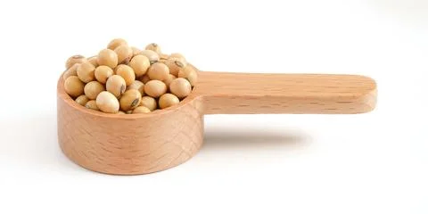 Soybean close up on white background. Stock Photos