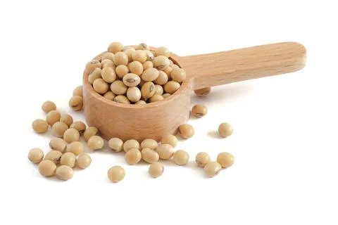 Soybean close up on white background. Stock Photos