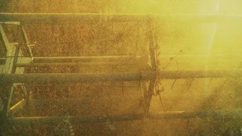 Soybean combine harvester Stock Footage
