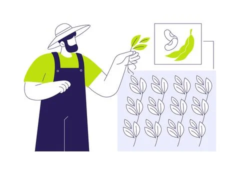 Soybean crops abstract concept vector illustration. Stock Illustration