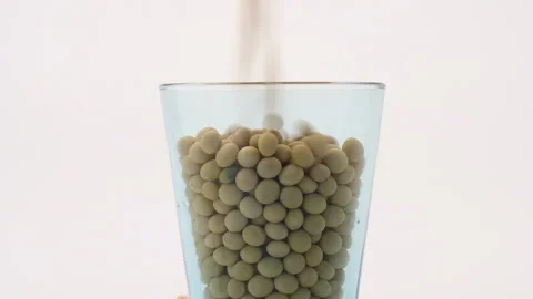 Soybean Falling in a glass on white 库存影片 162608867