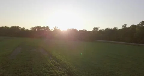 Soybean Field 3: Drone Flying in Soybean Field at Sunset. Silhouette Video stock 138684360