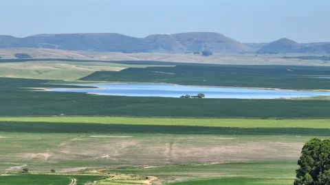 Soybean fields with lake and distant hills, telephoto drone parallax, 4K50 Stock-Footage 328662531