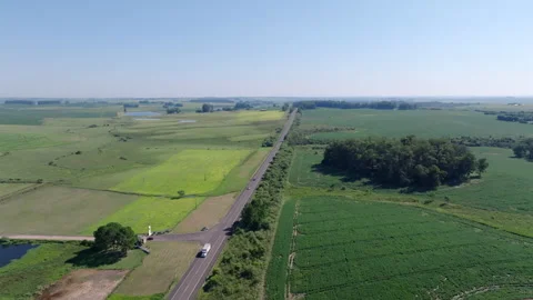 Soybean fields split by highway with preserved native woodland, drone side 動画素材 328662104