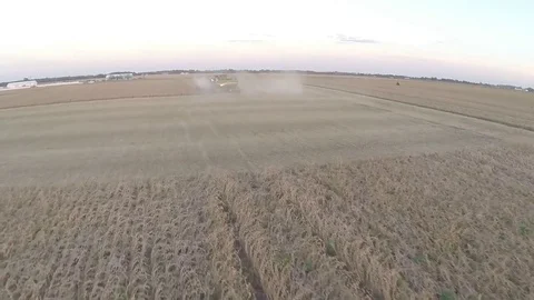Soybean Harvest flyby Stock Footage 81140714