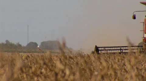 Soybean Harvest Stock-Footage 34534099