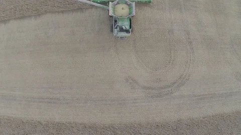 Soybean Harvest Stock Footage 81140712