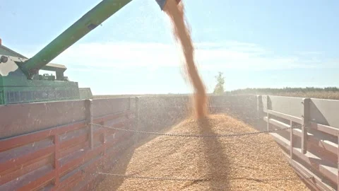 Soybean harvest Stock Footage 171558221