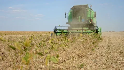 Soybean harvest Stock Footage 171558451