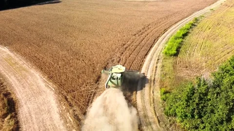 Soybean Harvest Stock Footage 250615834