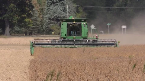 Soybean Harvest, Indiana, USA Stock Footage