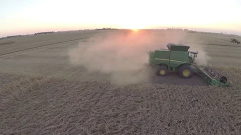 Soybean harvest at sunset Stock Footage 81140723