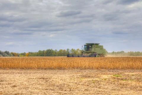Soybean harvesting Stock-Fotos