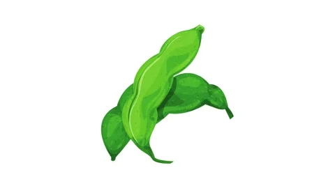 Soybean icon animation Stock Footage 152556141