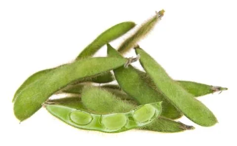Soybean isolated on white background close-up Stock Photos