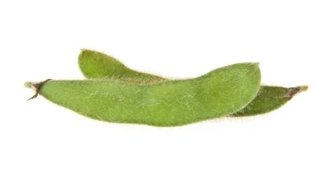 Soybean isolated on white background Stock Photos