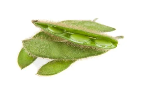 Soybean isolated on white background Stock Photos