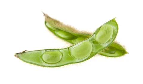 Soybean isolated on white background Stock Photos
