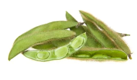 Soybean isolated on white background Stock Photos